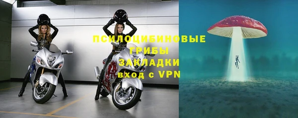 гидра Баксан